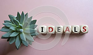 Ideals symbol. Wooden blocks with word Ideals. Beautiful pink background with succulent plant. Business and Ideals concept. Copy