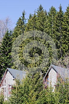 Identical cottages surrounded by trees