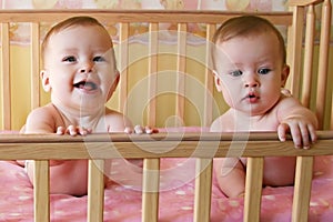 Identical twin babies