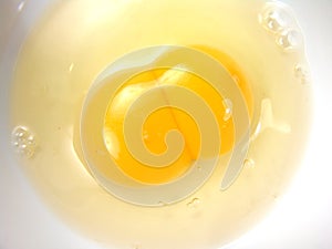 Identical Twins Egg White Yolk