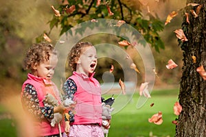 Identical twins having fun with autumn leaves, blond cute curly girls, happy family, beautiful girls in pink jackets