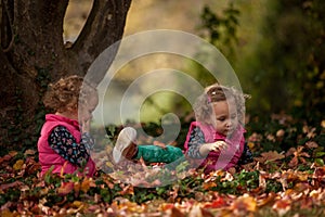 Identical twins having fun with autumn leaves in the park, blond cute curly girls, happy kids, beautiful girls in pink jackets