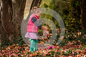 Identical twins having fun with autumn leaves in the park, blond cute curly girls, happy kids, beautiful girls in pink jackets