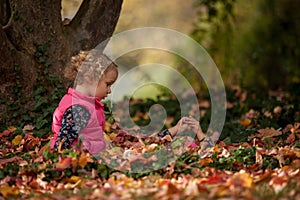 Identical twins having fun with autumn leaves in the park, blond cute curly girls, happy kids, beautiful girls in pink jackets