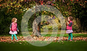 Identical twins having fun with autumn leaves in the park, blond cute curly girls, happy kids, beautiful girls in pink jackets