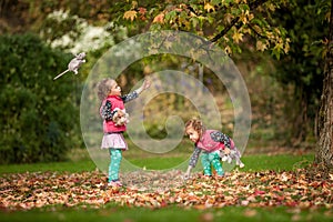 Identical twins having fun with toys and leaves in autumn in the park, blond cute curly girls, happy girls,beautiful girls in pink