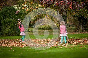 Identical twins having fun with toys and leaves in autumn in the park, blond cute curly girls, happy girls,beautiful girls in pink