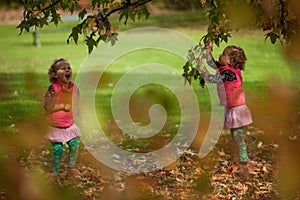 Identical twins having fun with toys and leaves in autumn in the park, blond cute curly girls, happy girls,beautiful girls in pink