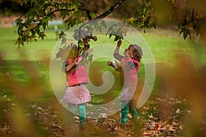 Identical twins having fun with toys and leaves in autumn in the park, blond cute curly girls, happy girls,beautiful girls in pink