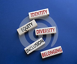 Identity Equity Diversity Inclusion Belonging symbol. Concept words Identity Equity Diversity Inclusion Belonging on wooden blocks