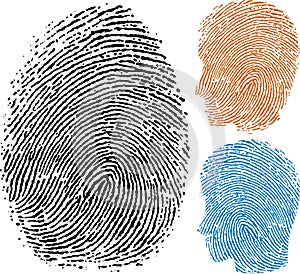 Identity fingerprint