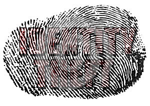 Identity Theft fingerprint