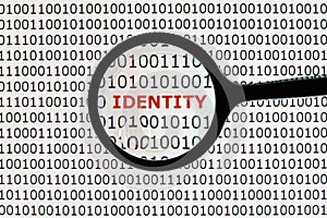 Identity theft online