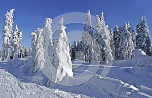 Idilic mountain winter landscape