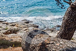 Idilic view on the mediterranean sea, Murter, Dalmatia, Croatia