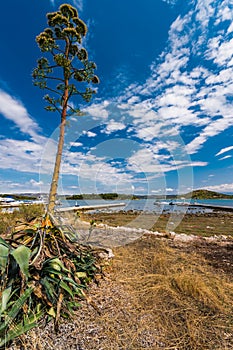 Idilic view on the mediterranean sea, Murter, Dalmatia, Croatia