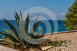 Idilic view on the mediterranean sea, Murter, Dalmatia, Croatia