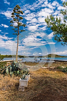 Idilic view on the mediterranean sea, Murter, Dalmatia, Croatia