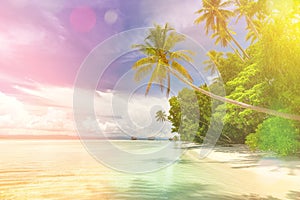 Idillyc background of tropical beach - calm ocean, palm trees, blue sky