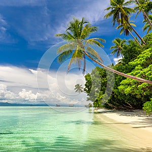 Idillyc landscape of tropical beach - warm sea, palm trees, blue sky