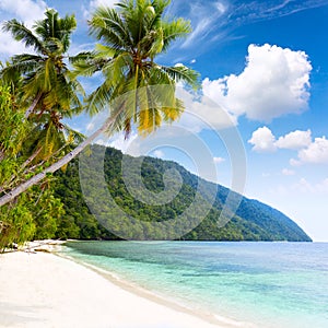 Idillyc tropical island beach - warm sea, palm trees, blue sky