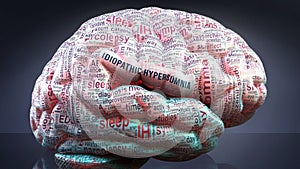 Idiopathic hypersomnia and a human brain