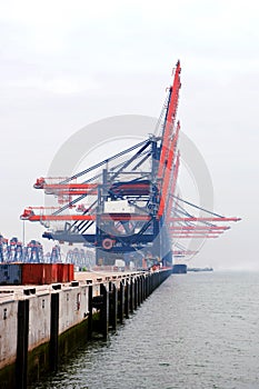 Idle harbor cranes on a misty