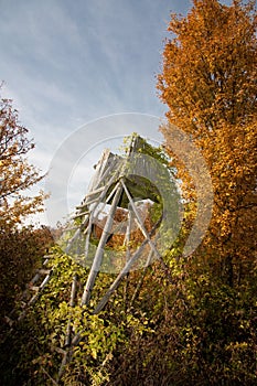 Idle hide with autumn tree