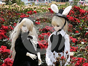 Idols of couple in a rose garden
