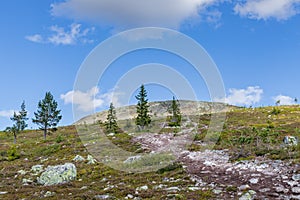 Idre, Sweden: hiking trail in the mountains