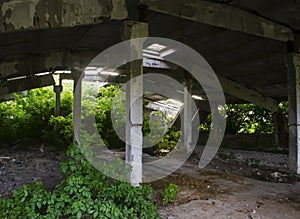 Idustrial interior at the old an abandoned hangar that is overgrown with grass and will soon fall, standing only on a