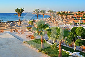 Idylic beach with palms and sun umbrelas, Red Sea, Egypt photo