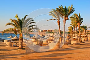 Idylic beach with palms and sun umbrelas, Red Sea, Egypt photo