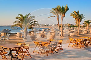 Idylic beach with palms and sun umbrelas, Red Sea, Egypt