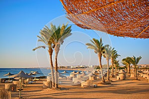 Idylic beach with palms and sun umbrelas, Red Sea, Egypt