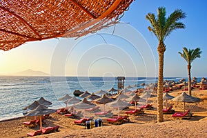 Idylic beach with palms and sun umbrelas, Red Sea, Egypt