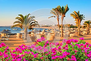 Idylic beach with palms and sun umbrelas, Red Sea, Egypt