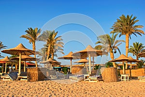 Idylic beach with palms and sun umbrelas, Red Sea, Egypt