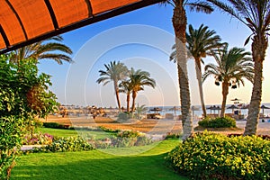 Idylic beach with palms and sun umbrelas, Red Sea, Egypt