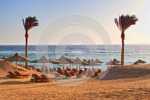 Idylic beach with palms and sun umbrelas, Red Sea, Egypt photo