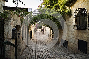 Idylic empty side street of some old town with climbers and flowers hanging from stone walls of cosy buildings. Narrow passage