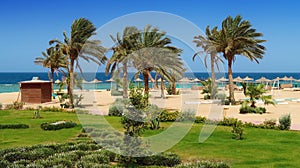 Idylic hotel beach with palm trees