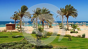 Idylic hotel beach with palm trees photo