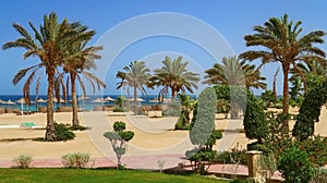 Idylic beach with palm trees, Red Sea, Egypt photo