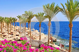 Idylic hotel beach with sun umbrelas, Red Sea, Egypt