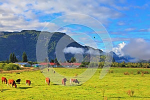 The idyll in Chilean Patagonia