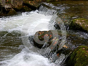 Idyll on the rushing mountain stream with crystal clear water 2