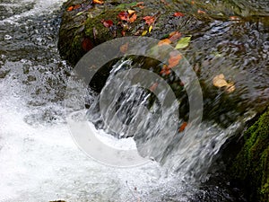 Idyll on the rushing mountain stream with crystal clear water 3