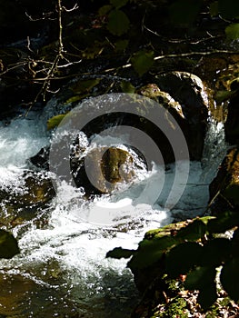 Idyll on the rushing mountain stream with crystal clear water 7