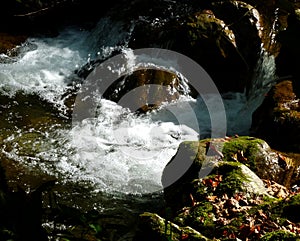 Idyll on the rushing mountain stream with crystal clear water 8